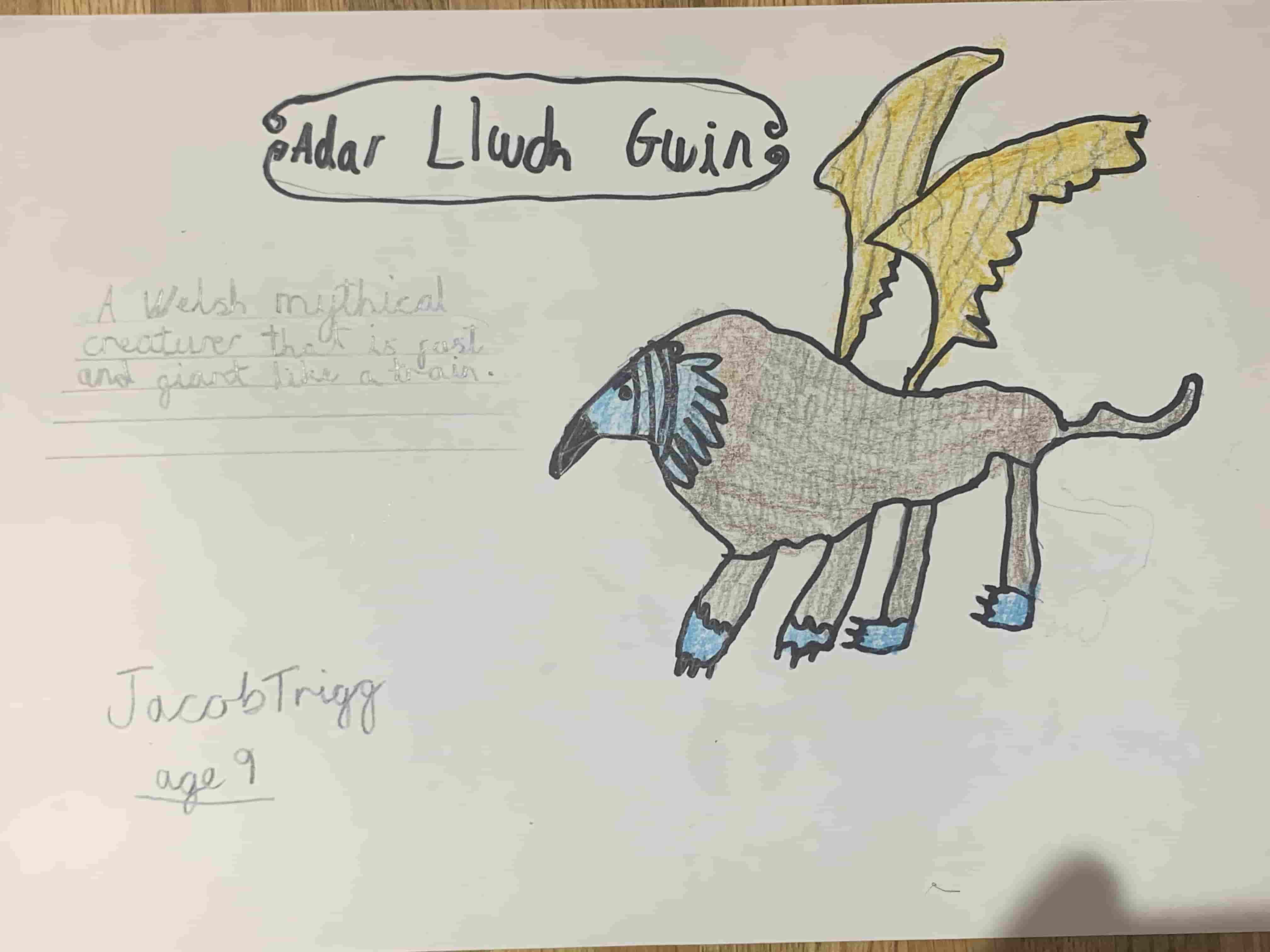 Adar Llwch Gwin named by Jacob