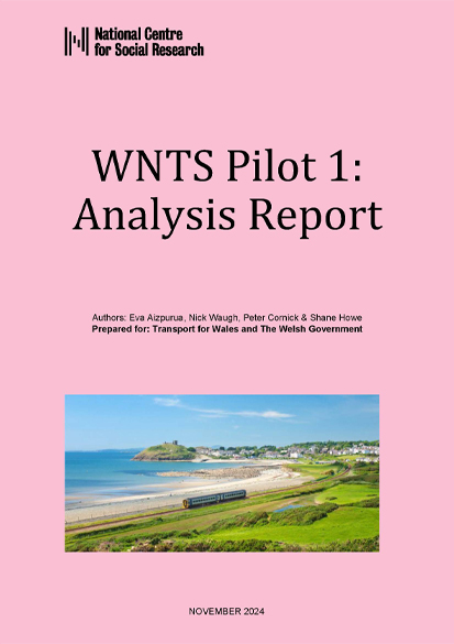 WNTS Pilot 1: Analysis Report