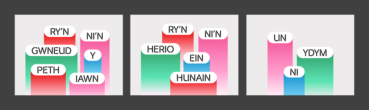 RY'N NI'N GWNEUD Y PETH IAWN | RY'N NI'N HERIO EIN HUNAIN | UN YDYM NI