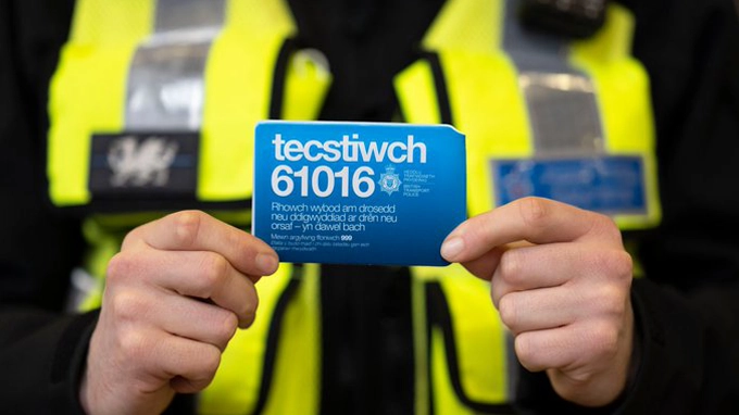 Tecstiwch 61016