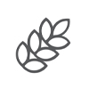 Gwenith (glwten) | Gluten