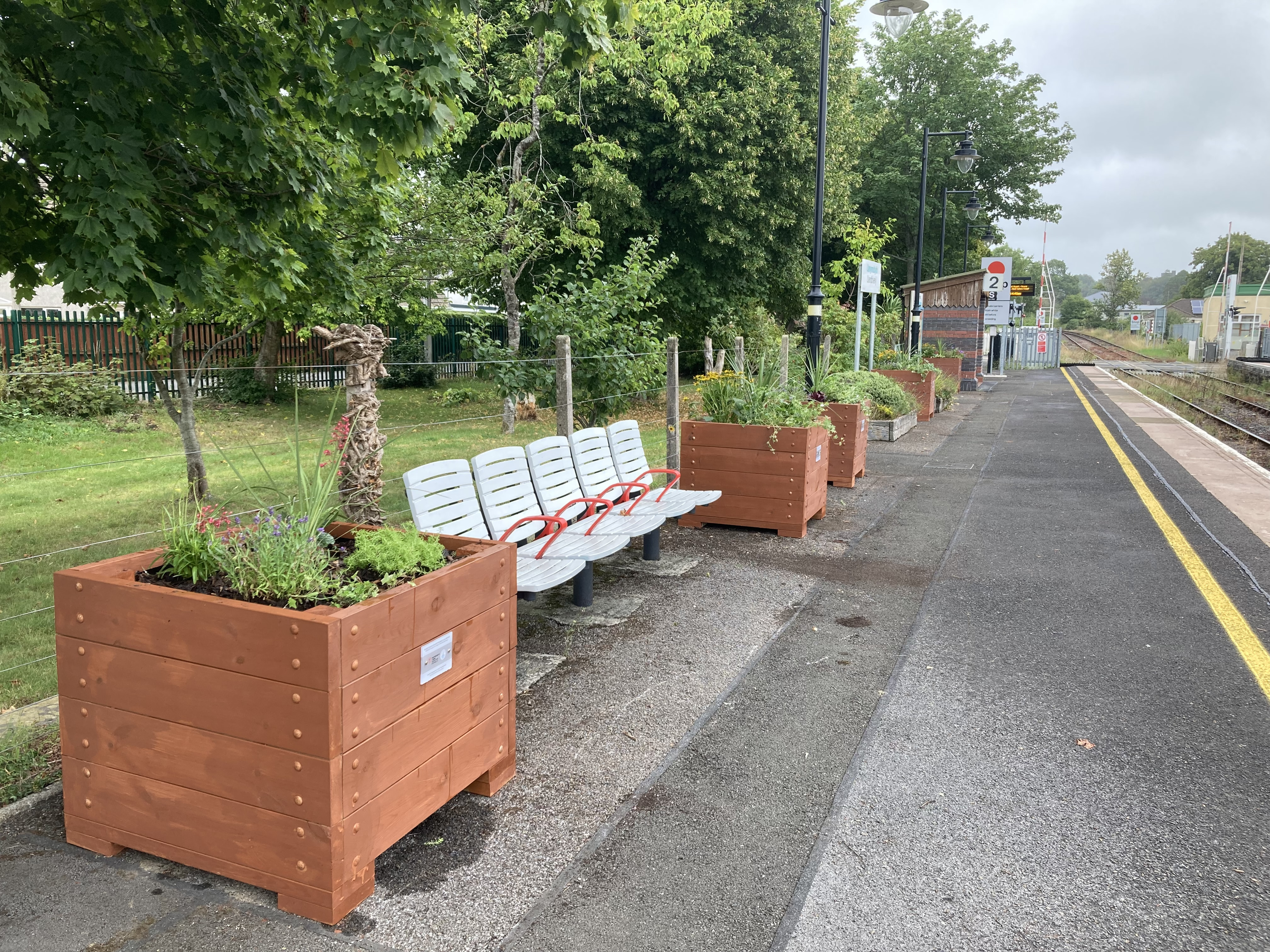 Llandovery After - Planters